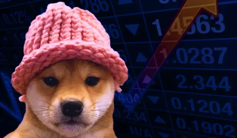 dogwifhat cryptocurrency