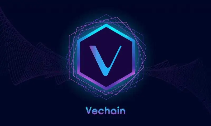 vechain vet