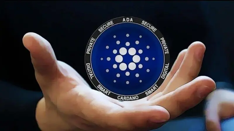 Cardano