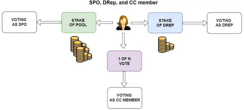 Cardano's governance structure