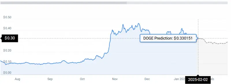 DOGE STATS