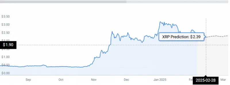 XRP STATS