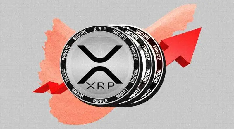 XRP Coins Grey