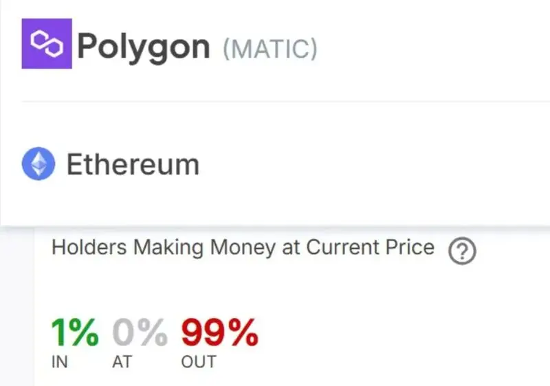 Graphic showing Polygon holder statistics with 99% out of money