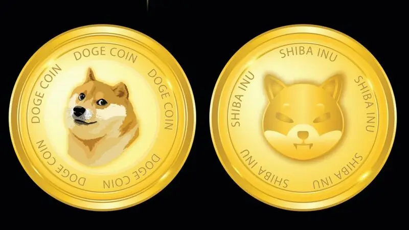 Dogecoin and Shiba Inu Plummets Hard, Here’s Why