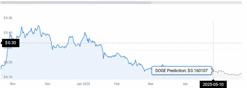 DOGE STATS