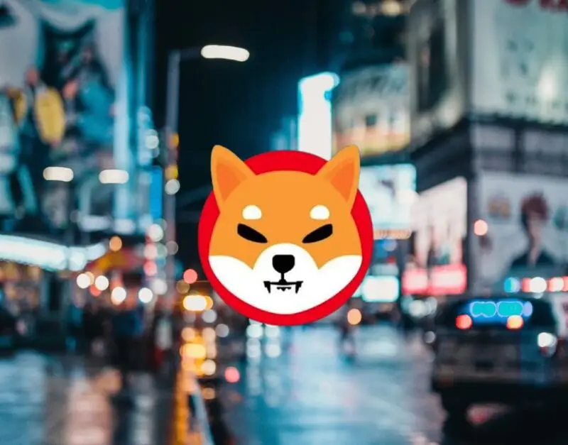 shiba inu