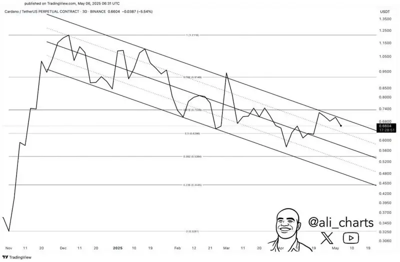 Cardano whale accumulation