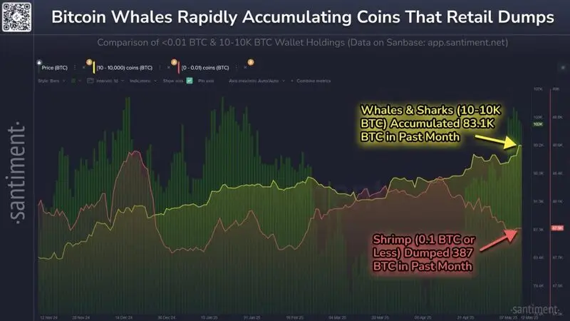 bitcoin investors