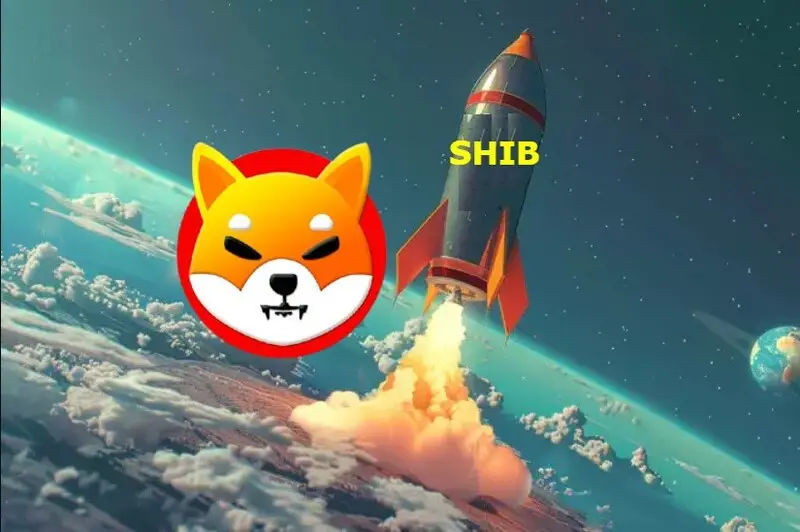 shiba inu shib rocket