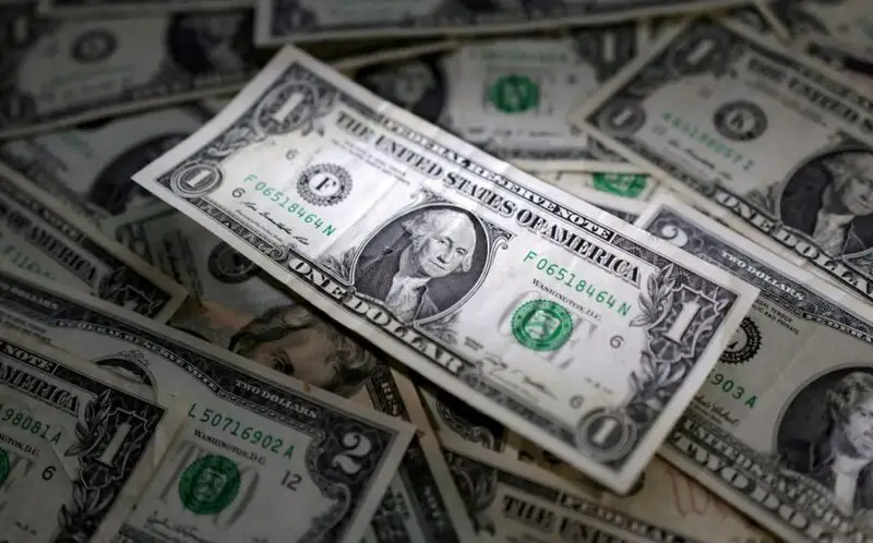 dollar on bed of dollars