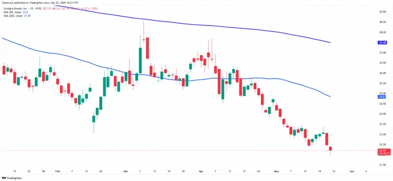 Tesla Stock Performance