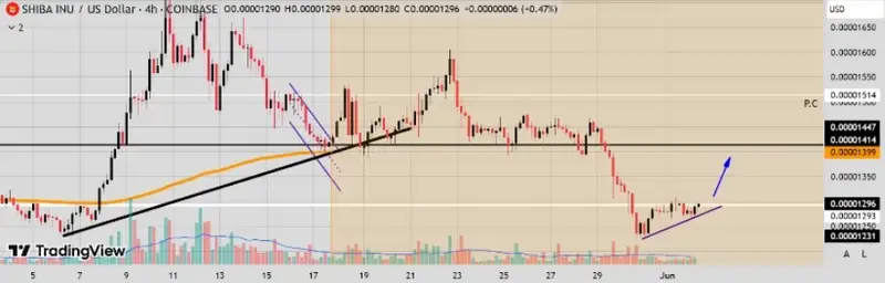 SHIB technical analysis chart with price movements
