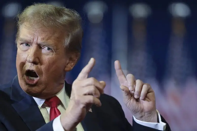 Donald trump stock