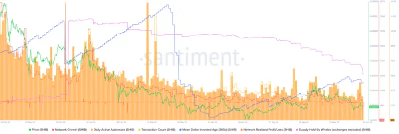 SHIB Network Growth and Transaction Data