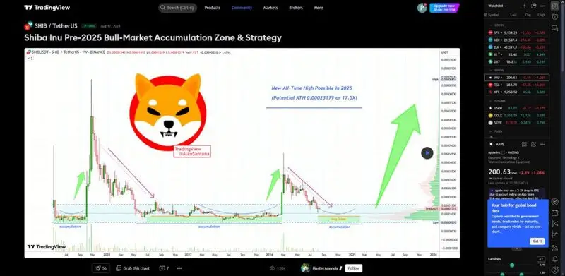 TradingView SHIB Bull Market Accumulation Analysis