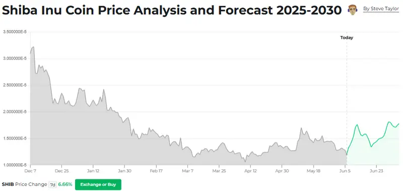 Shiba Inu Price Analysis Chart 2025-2030
