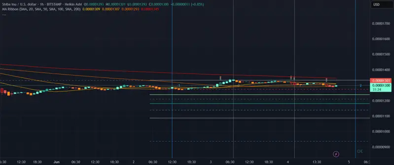 hourly chart reveals SHIB holding strong in the $0.00001290 to $0.00001310 zone