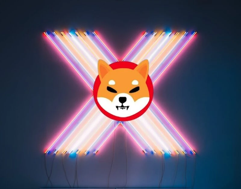shiba inu brand