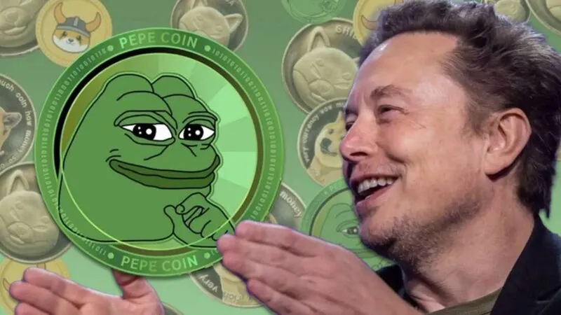 Turned $1,000 into Pepe Coin After Musk’s First Meme