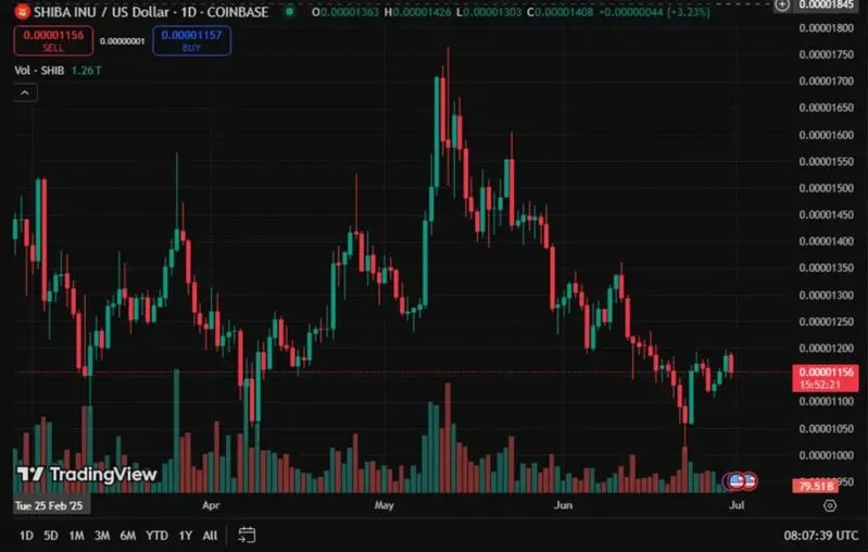 SHIB price chart with volume indicators