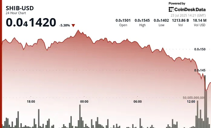 24-hour SHIB chart with volume data