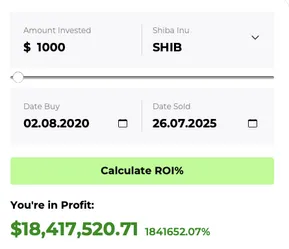 SHIB ROI