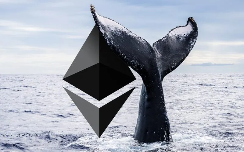 whales buying
