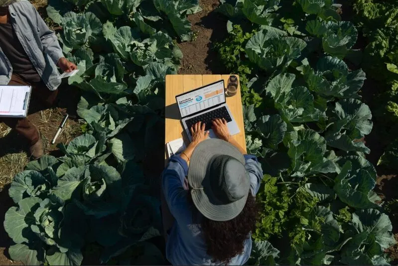 Person using MacBook Pro OLED laptop in agricultural field