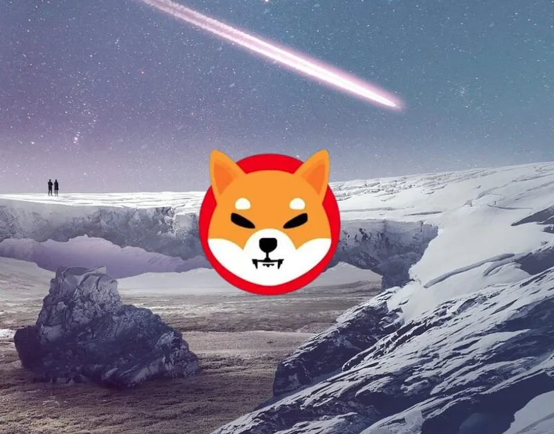 Shiba Inu Dream