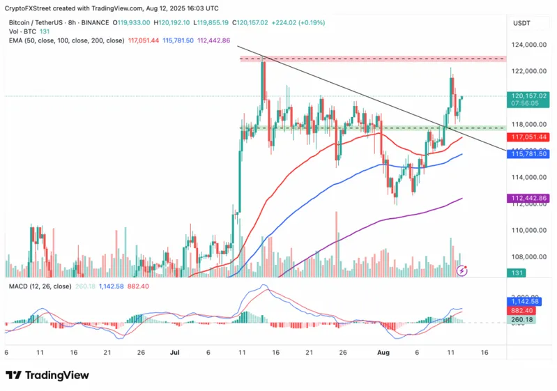 Bitcoin/TetherUS 8h BINANCE chart showing recent price movement and technical indicators