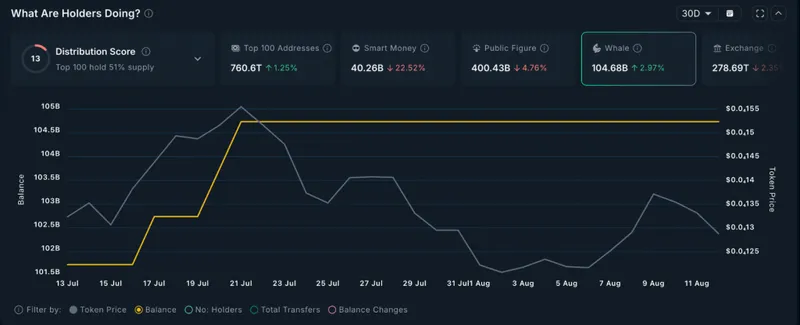 Whale holdings and smart money metrics dashboard
