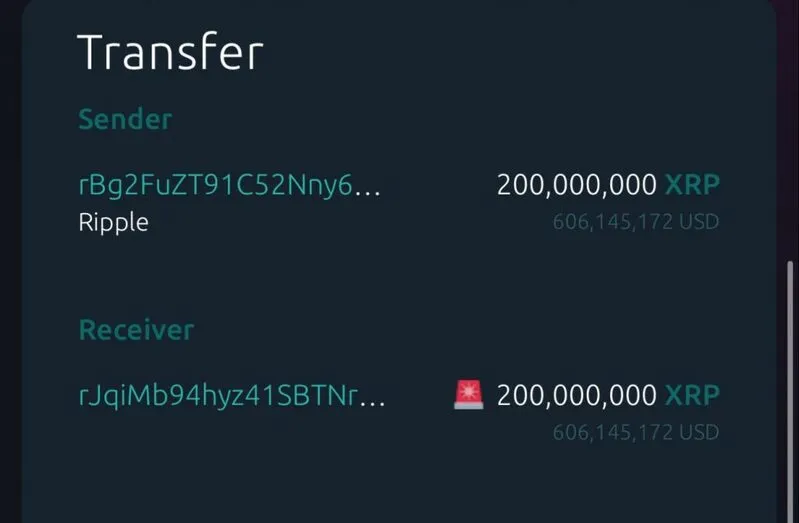 Ripple Transfer Transaction Details