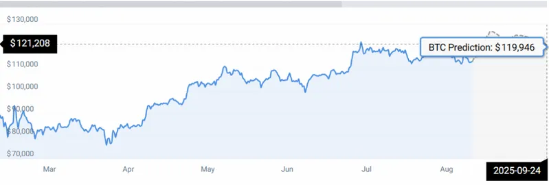 BTC DATA