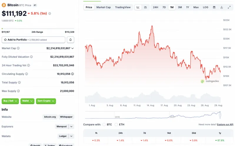 Bitcoin price drop