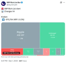 XRP Rich List