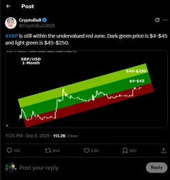 Crypto bull XRP post on X