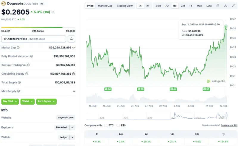 Dogecoin price rally