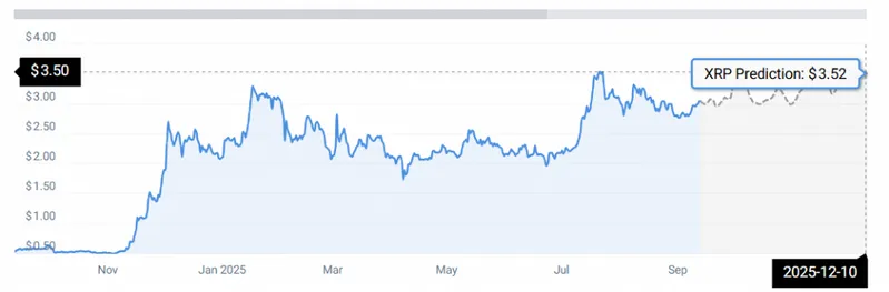 XRP STATS