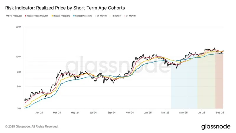 Risk indicator chart showing Bitcoin realized price by short-term age cohorts