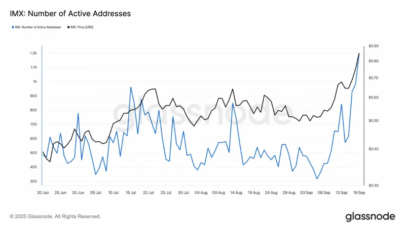IMX active addresses correlation chart