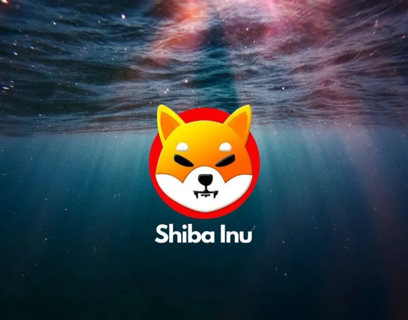 Shiba Inu SHIB underwater