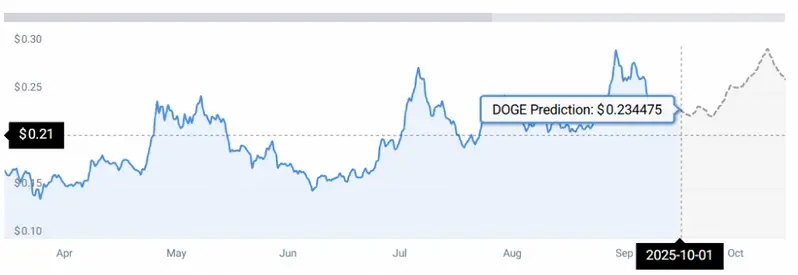 DOGE STATS