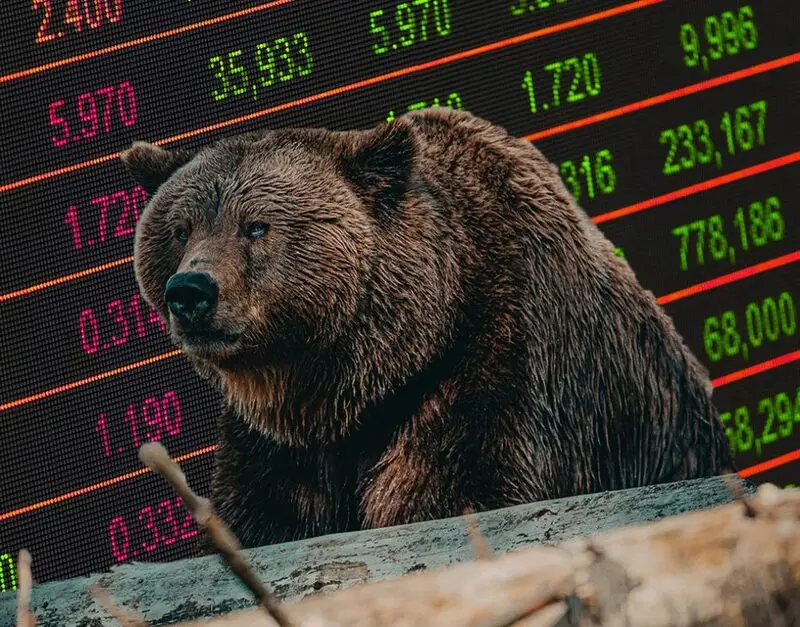 crypto bear markets