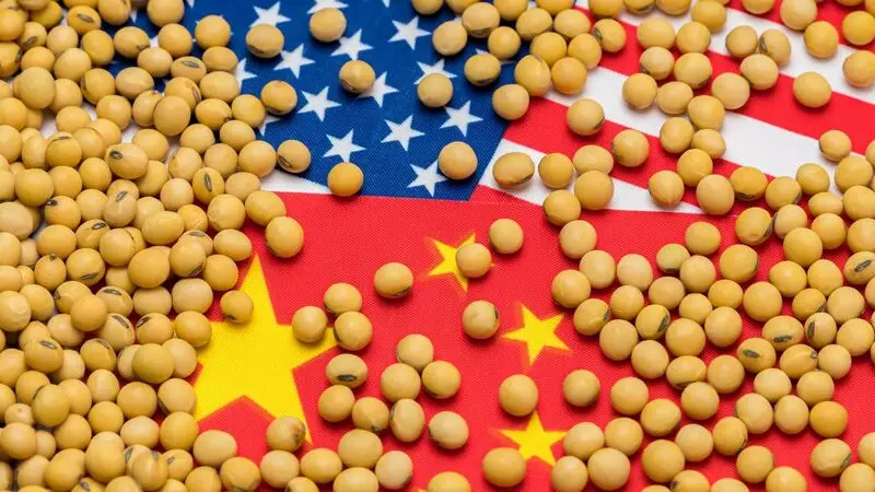 China USA Flags Soybeans