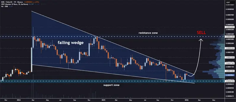 deliberate positioning ahead of what could be a significant Shiba Inu boost
