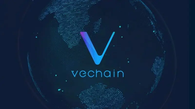 VeChain bridge connectivity world