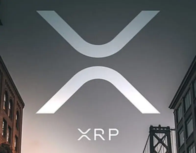 xrp sky