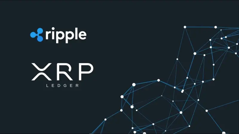 XRP Ledger growth