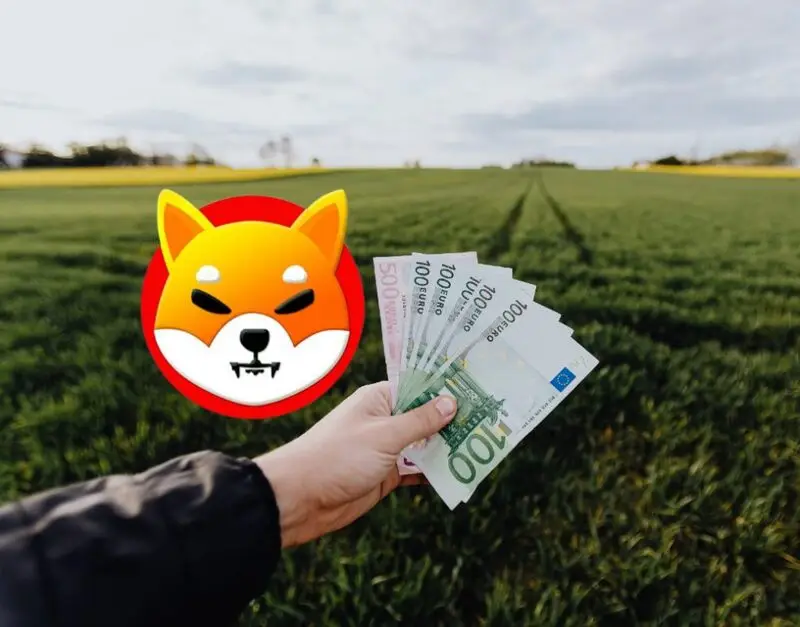 shiba inu cash money currency